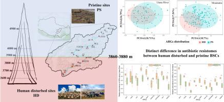 Impacts of anthropogenic disturbances on antibiotic resistomes in biological soil crusts on the Qinghai-Tibetan Plateau