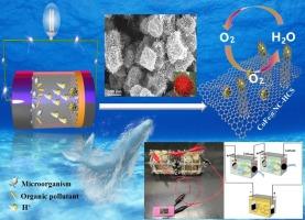 Efficient electricity generation and wastewater degradation simultaneously in microbial fuel cell: Synergistic effect of amplifying localized charge density of carbon shell and confinement of hollow structures for oxygen reduction reaction
