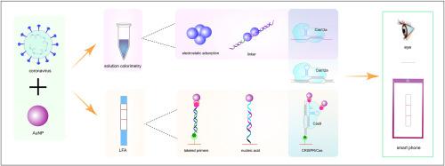 Innovative strategies for enhancing AuNP-based point-of-care diagnostics: Focus on coronavirus detection
