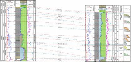 Segmented evolution and exploration targets of the Cambrian platform margin in the Manxi area, Tarim Basin