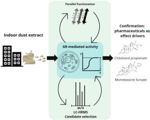 Identification of compounds contributing to glucocorticoid activity in indoor dust supported by orthogonal fractionation