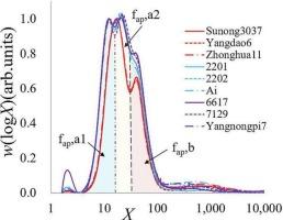 The molecular structure of leaf starch from three cereal crops