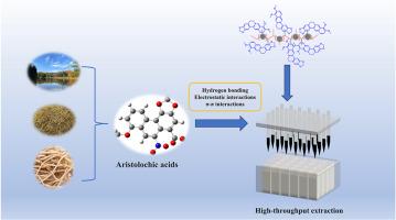 Berberine-based hypercrosslinked polymer: Advanced solid-phase microextraction for high-throughput analysis of aristolochic acids in environmental water and herbal plants