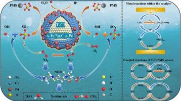 Efficient activation of PMS for norfloxacin detoxification and mineralisation via chlorine-modified iron-based trimetallics: Profound modulation of copper valence states