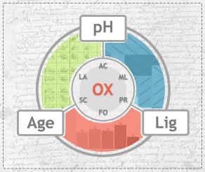 Impact of accumulation of organic acids on the degradation of cellulose in historic paper