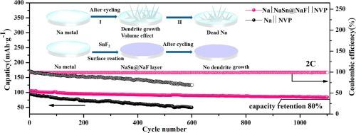 Designing multifunctional artificial SEI layers for long-term stability of sodium metal anodes