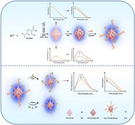 One stone two birds: NH2-UiO-66@MB-based bimodal aptasensor for sensitive and rapid detection of zearalenone in cereal products