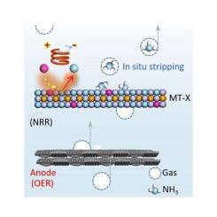 Electrochemically superior ammonia production from electroplating wastewater over oxygen-incorporated antiperovskite