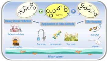 A dual-functional specific fluorescent bio-sensor based on triphenylamine for “turn-off” recognition of copper and mercury: Application in real samples and living system