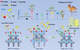 Correlation between ligand-mediated silver species on TiO2 nanosheet with the photocatalytic hydrogen evolution activities