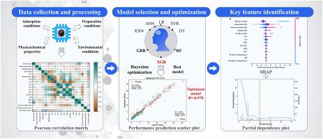 Predicting the adsorption of ammonia nitrogen by biochar in water bodies using machine learning strategies: Model optimization and analysis of key characteristic variables