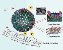 Three-in-one strategy via anchored MoSe2 for construct stable conversion-type Na-Se batteries: Chemisorption, catalytic conversion and stress dispersion