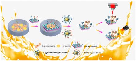 A multifunctional biosensor for selective identification, sensitive detection and efficient photothermal sterilization of Salmonella typhimurium and Staphylococcus aureus