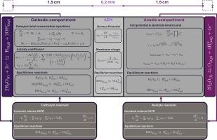 Understanding sulfate transport phenomena during electrochemical acid recovery from waste MgSO4: A modelling approach