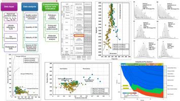 Source rock characterization of the Dingo Claystone, Barrow Sub-basin, Australia – Influence of contamination on geochemical analyses