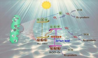 Elucidating the synergistic effect of oxygen vacancies and Z-scheme heterojunction in NU-1000/BiOCl-Ov composites towards enhanced photocatalytic degradation of tetracycline hydrochloride
