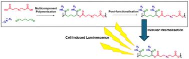 Synthesis and cell-induced luminescence of post-functionalisable ionisable polyesters from the Passerini 3-component polymerisation†