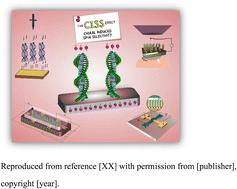 Recent advancements in chiral spintronics: from molecular-level insights to device applications. A prospect based on the interplay between physical and chemical properties of chiral systems