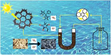 BODIPY and N-halamine-decorated covalent organic framework with synergistic antibacterial capabilities for sunlight-powered water sterilization†