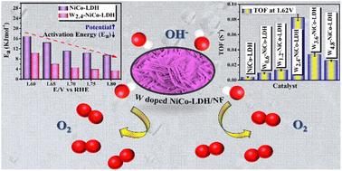 W-promoted OER kinetics of bimetallic hydroxide: an experimental analysis via operando EIS and temperature-dependent study†