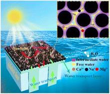 Aminophenol–formaldehyde particles containing hydrophilic benzenoid-amine for a highly efficient solar-thermal water harvester†