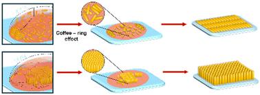 Rational side-by-side self-assembly of gold nanorods with short and medium aspect ratios via the self-evaporation method to boost their potential as a surface-enhanced Raman scattering (SERS) substrate†