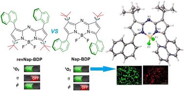 Unravelling the influence of structure on the optical properties of a pair of aza-BODIPY isomers and their application in photodynamic therapy†