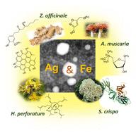 Designing iron oxide & silver nanocomposites with phyto- and fungo chemicals for biomedicine: lessons learned