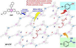 Phenoxazine-based covalent triazine framework for photocatalytic aerobic hydroxylation of arylboronic acids to phenols†