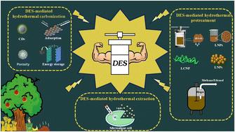 Deep eutectic solvent-mediated hydrothermal treatment for biomass conversion: a review