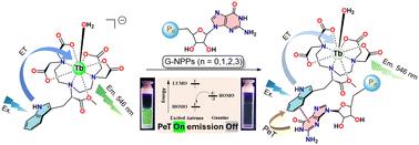Luminescent terbium(iii) probes containing an aromatic amino acid-based antenna for discrimination between adenine and guanine nucleotides†