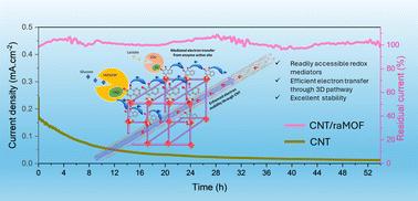 Rational design of redox active metal organic frameworks for mediated electron transfer of enzymes†