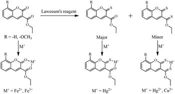 Synthesis of thiocarbonyl analogues of colourimetric coumarin-based chemosensors: altering the selectivity from Fe to Hg(ii) and Cu(ii) ions†