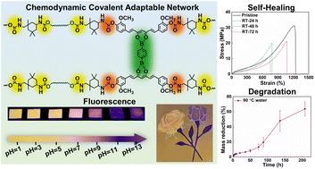 Chemodynamic covalent adaptable network-induced robust, self-healing, and degradable fluorescent elastomers for multicolor information encryption†