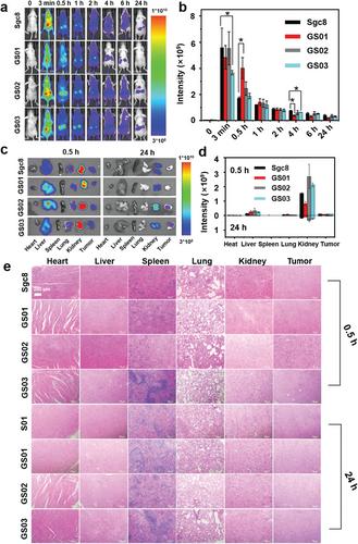Molecular Programming Design of Glyconucleic Acid Aptamer with High Stability