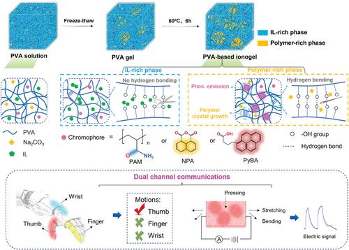 Stretchable Full-Color Phosphorescent PVA-Based Ionogels for Multimodal Sensing-Visual Integration Applications