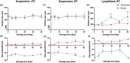 Nanoencapsulation of vitamin B2 using chitosan-modified poly(lactic-co-glycolic acid) nanoparticles: Synthesis, characterization, and in vitro studies on simulated gastrointestinal stability and delivery