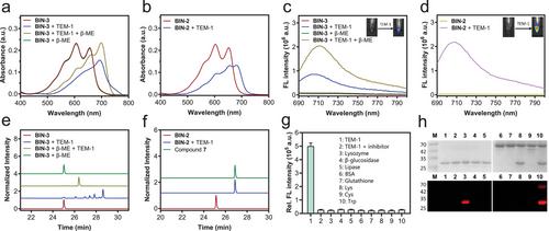 Highly Sensitive In Vivo Imaging of Bacterial Infections with a Hydrophilicity-Switching, Self-Immobilizing, Near-Infrared Fluorogenic β-Lactamase Probe Enriched within Bacteria