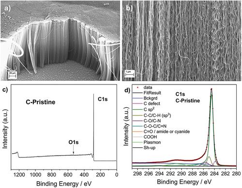 Non-Chemical Route to PGM-Free via N+ Ion Implantation in Vertically Aligned Carbon Nanotubes