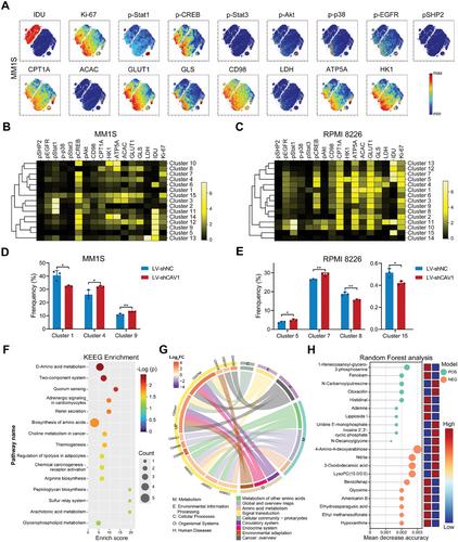Targeting Caveolin-1 in Multiple Myeloma Cells Enhances Chemotherapy and Natural Killer Cell-Mediated Immunotherapy