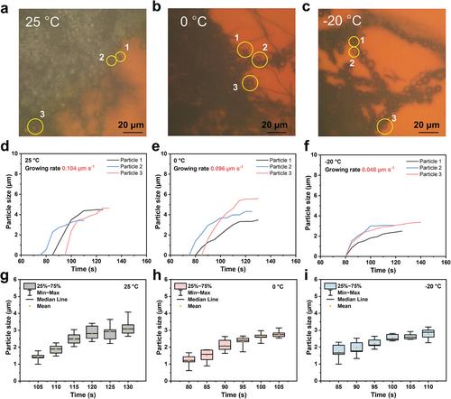 Understanding the Dynamics of Sulfur Droplets Formation in Lean-Electrolyte and Low-Temperature Lithium–Sulfur Batteries