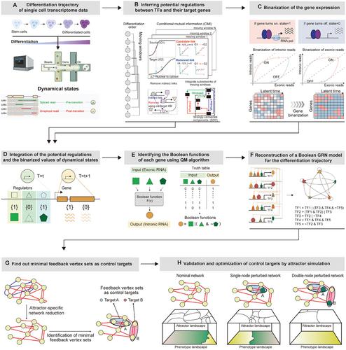 Control of Cellular Differentiation Trajectories for Cancer Reversion