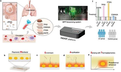 Interfacial cfDNA Enrichment and Amplification with On-Chip Thermoplasmonics for Highly Sensitive Cancerous Liquid Biopsy