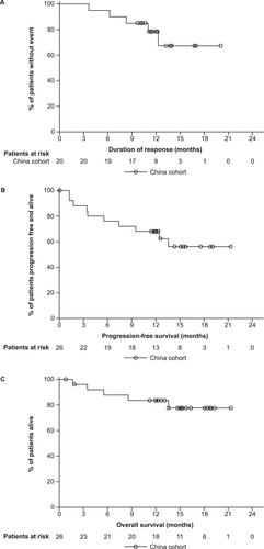Efficacy, safety, and pharmacokinetics of teclistamab in Chinese patients with relapsed/refractory multiple myeloma from the China cohort of MajesTEC-1