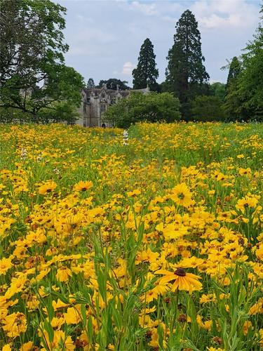 Making the Wakehurst prairie