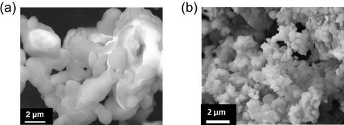 Abstract Image