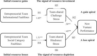 How entrepreneurial team informational and social category faultlines affect new venture performance: A conservation of resources perspective