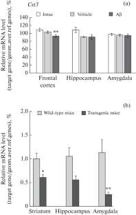 Some Advanced Biomarkers of Neurodegenerative Disorders: Focus on Cystatin C