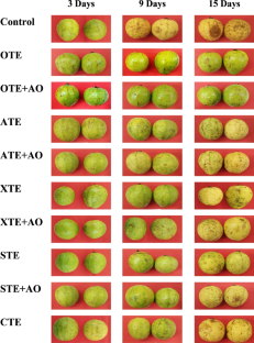 Composite edible coatings can extend shelf-life and maintain postharvest qualities of guava under natural storage