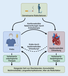 [Heart and cancer: cardio-oncology].